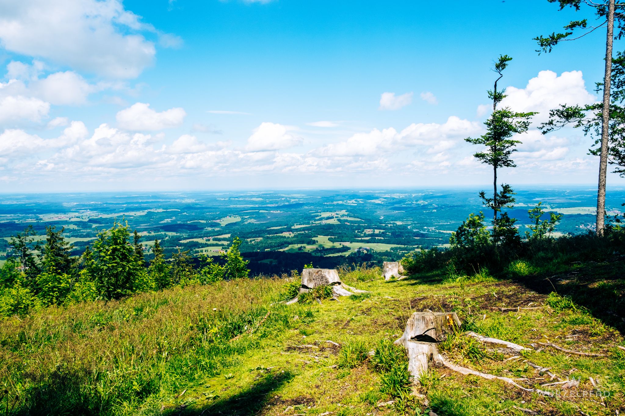 Blick über's Oberland