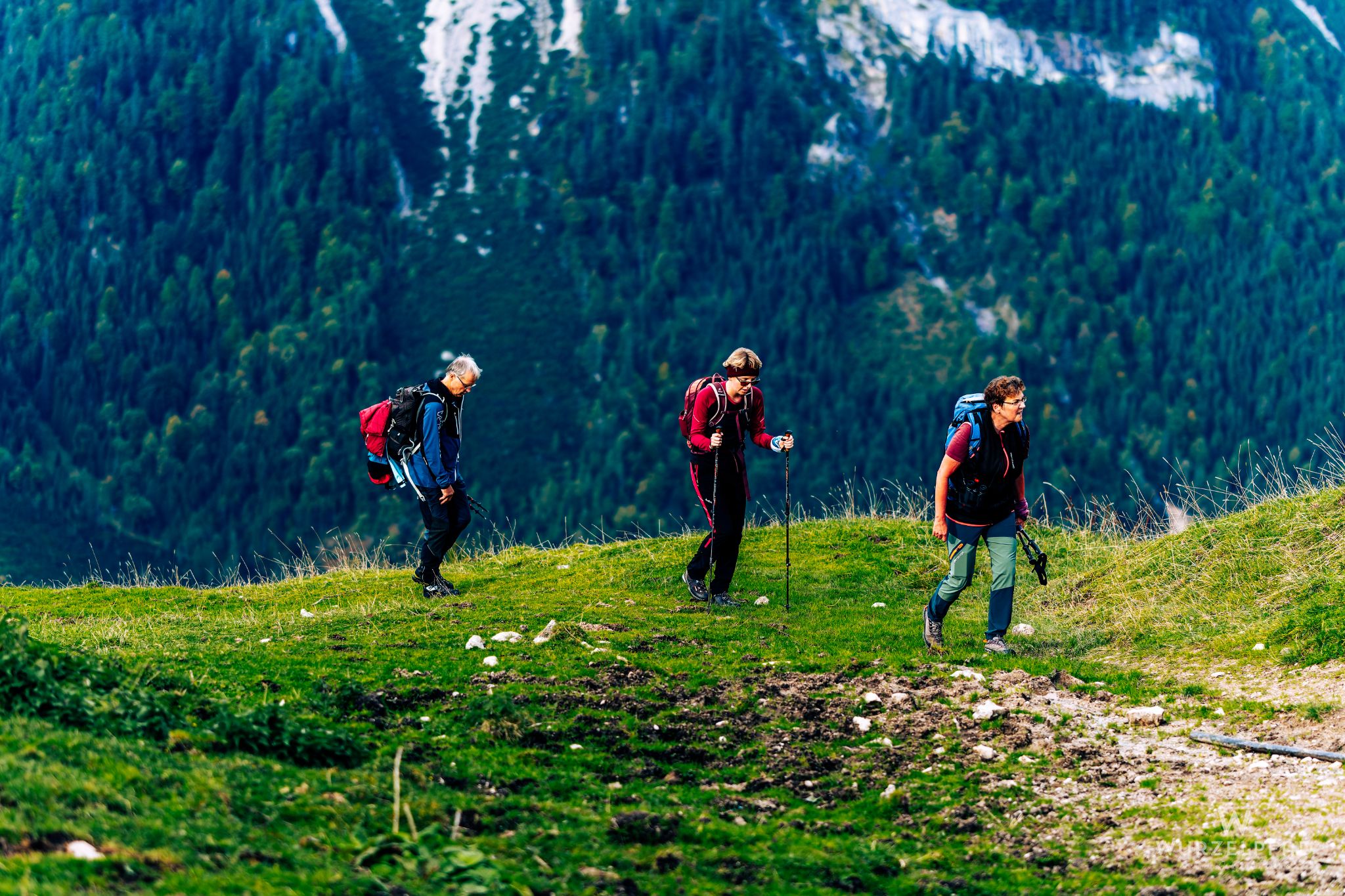 Beim Hasentalalm-Mittelleger