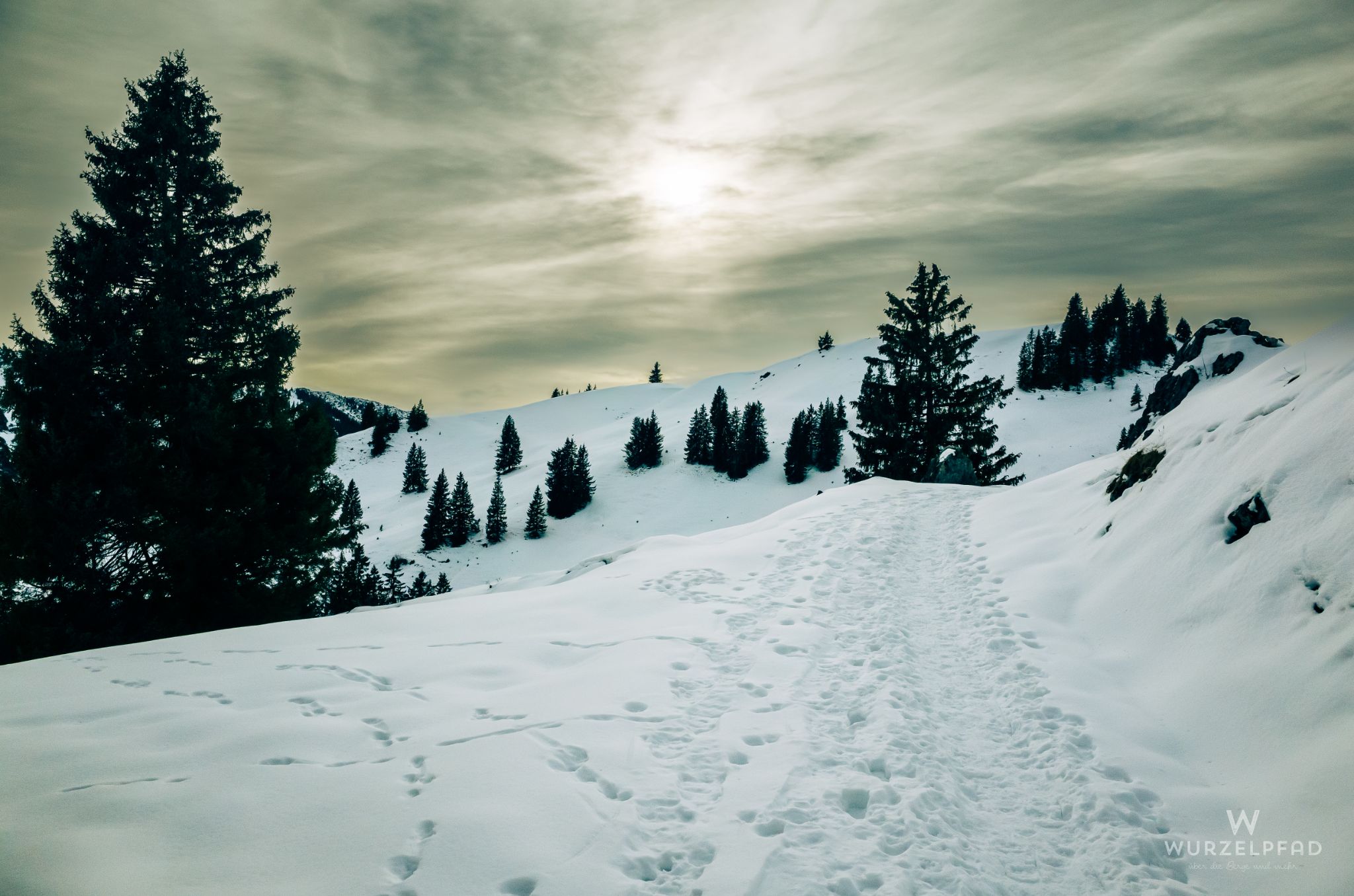 Oberhalb der Neuhüttenalm