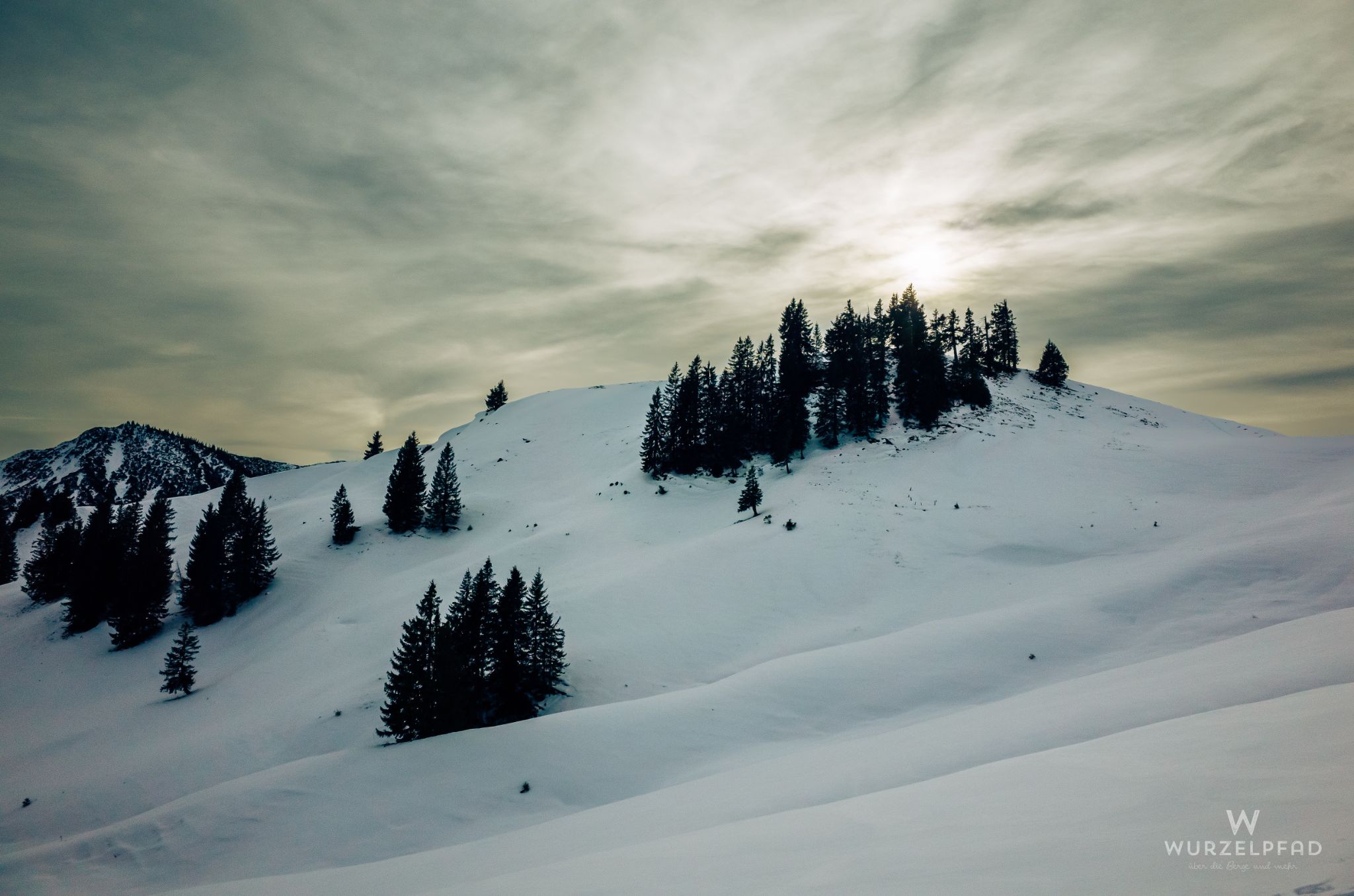 Baumgruppe am Neuhüttensattel