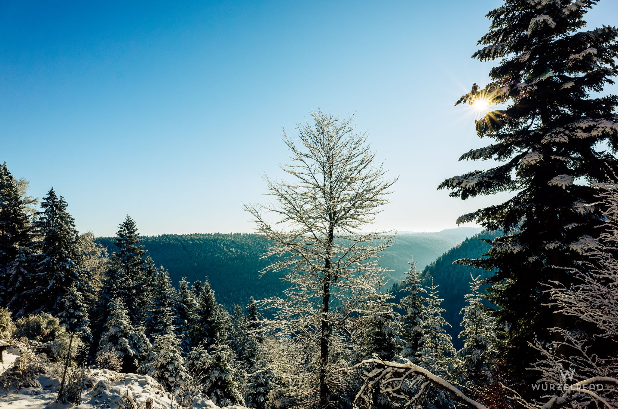 Blick über's Enztal