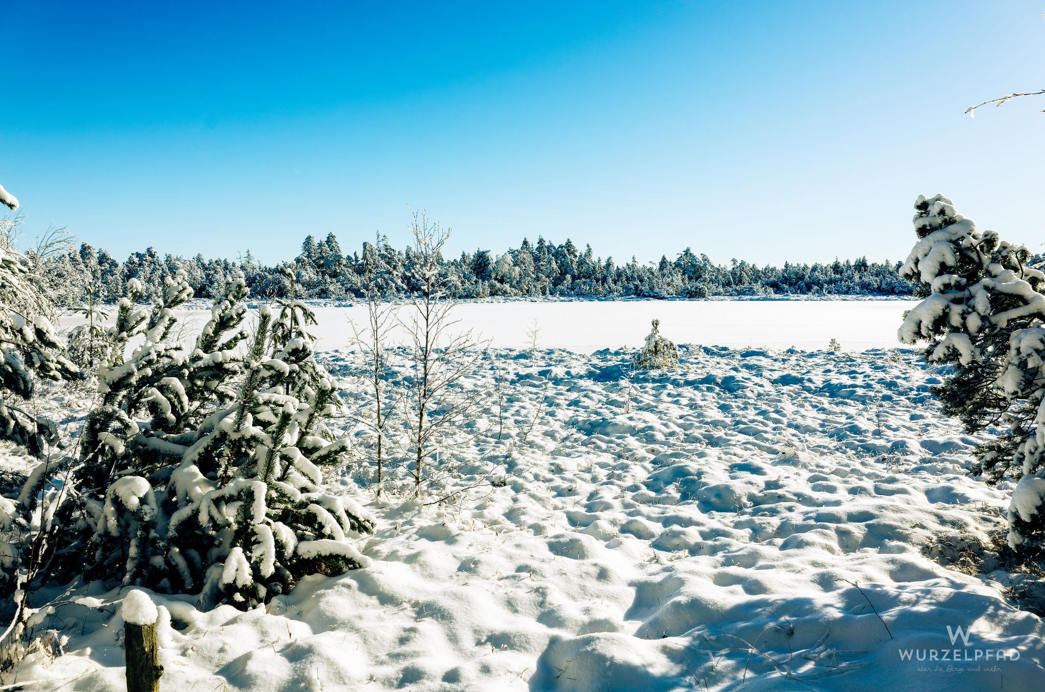 Blick über den Wildsee
