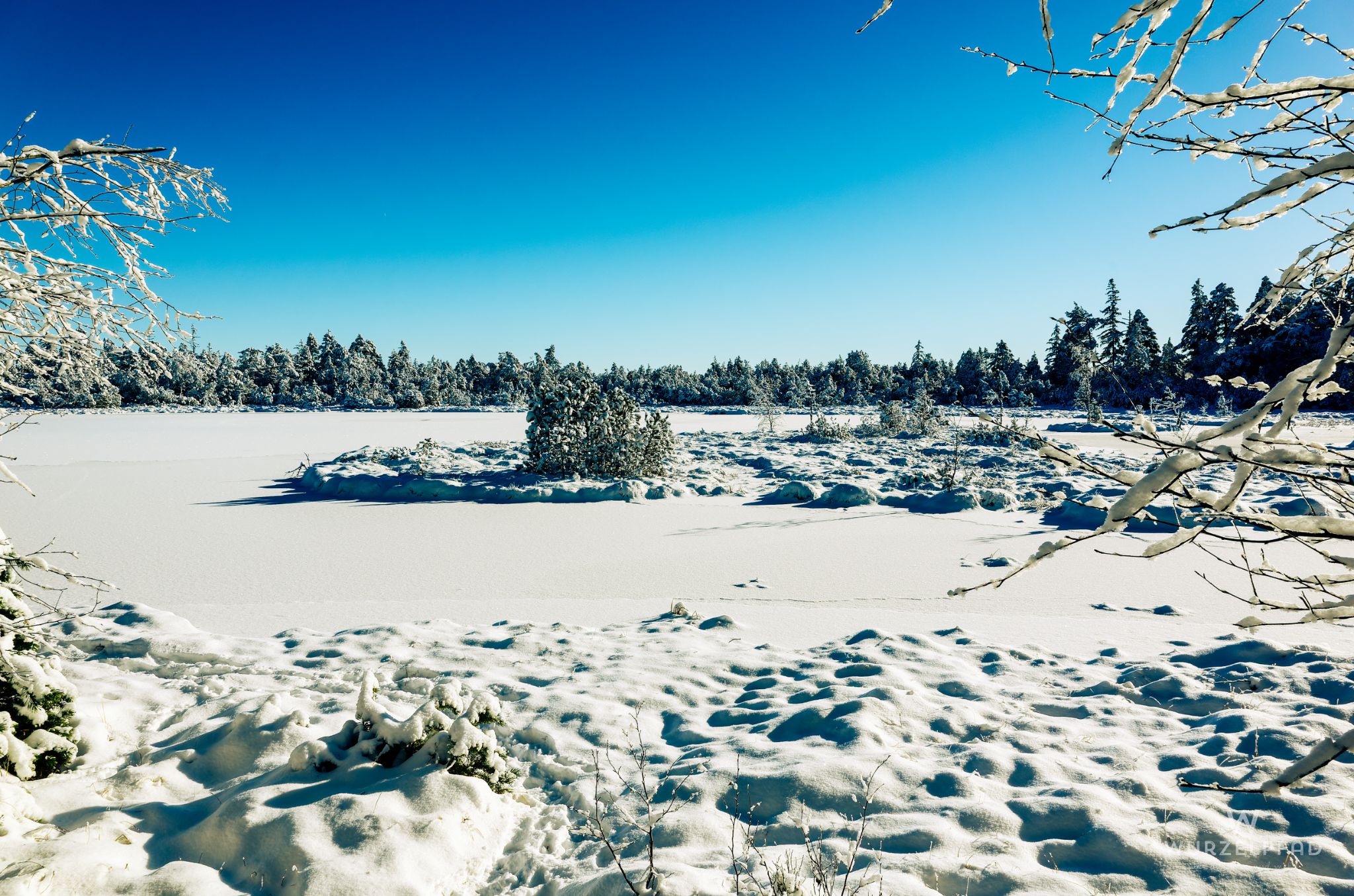 Blick über den zugefrorenen Wildsee
