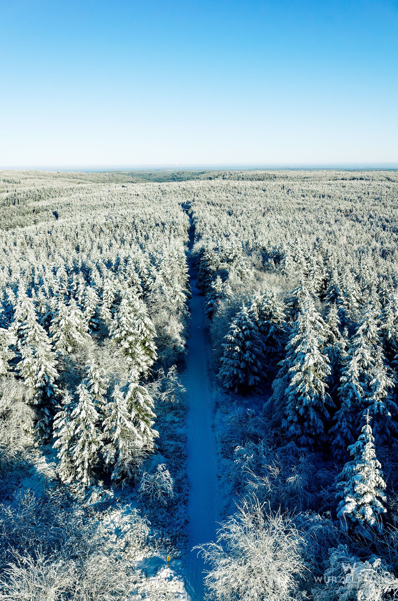 Blick vom Hohlohturm