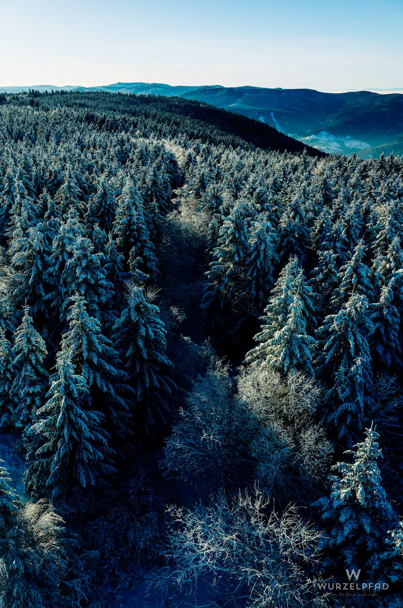 Blick vom Hohlohturm zur Hornisgrinde