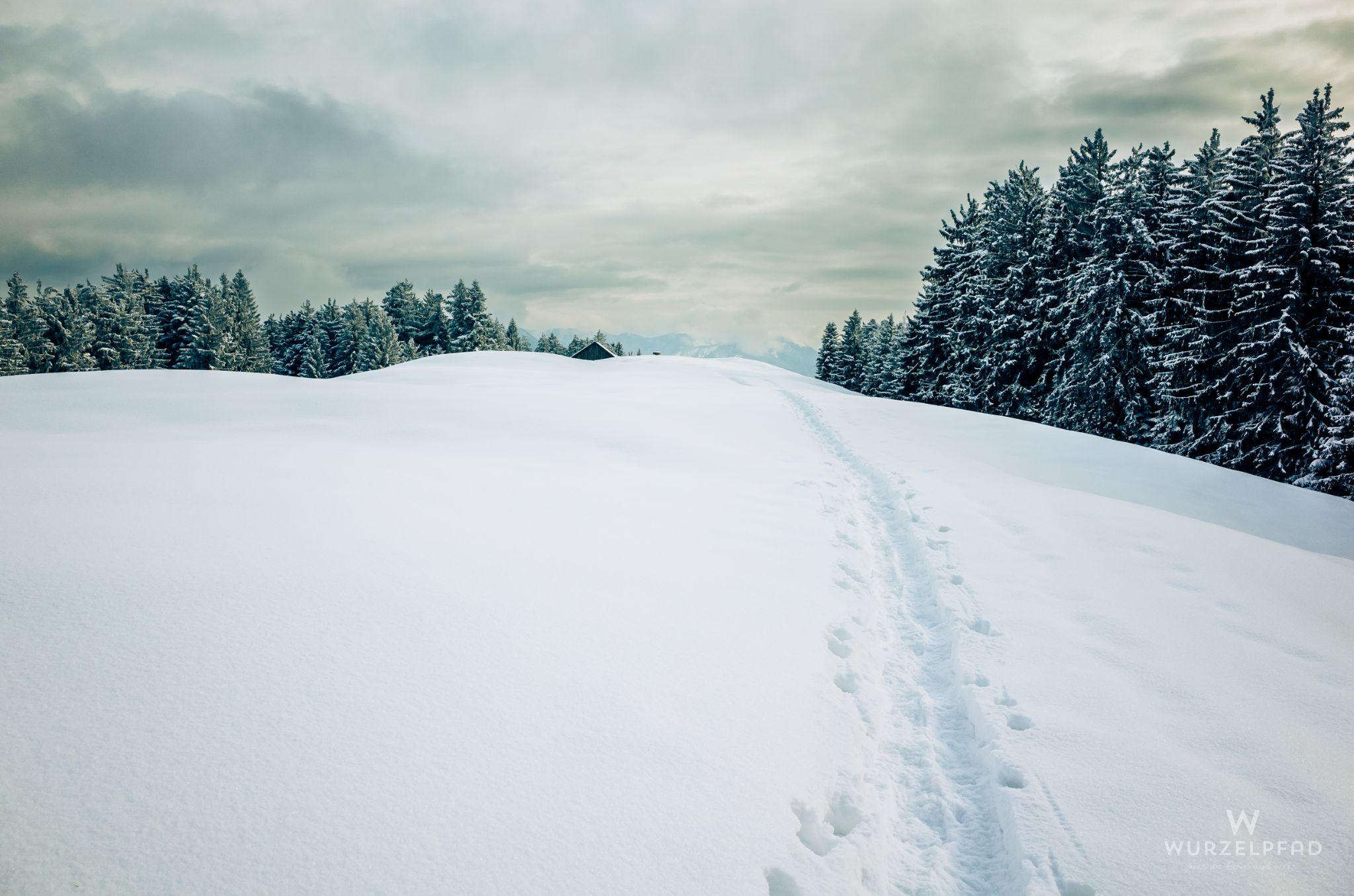 Blick zur Gassenhoferalm
