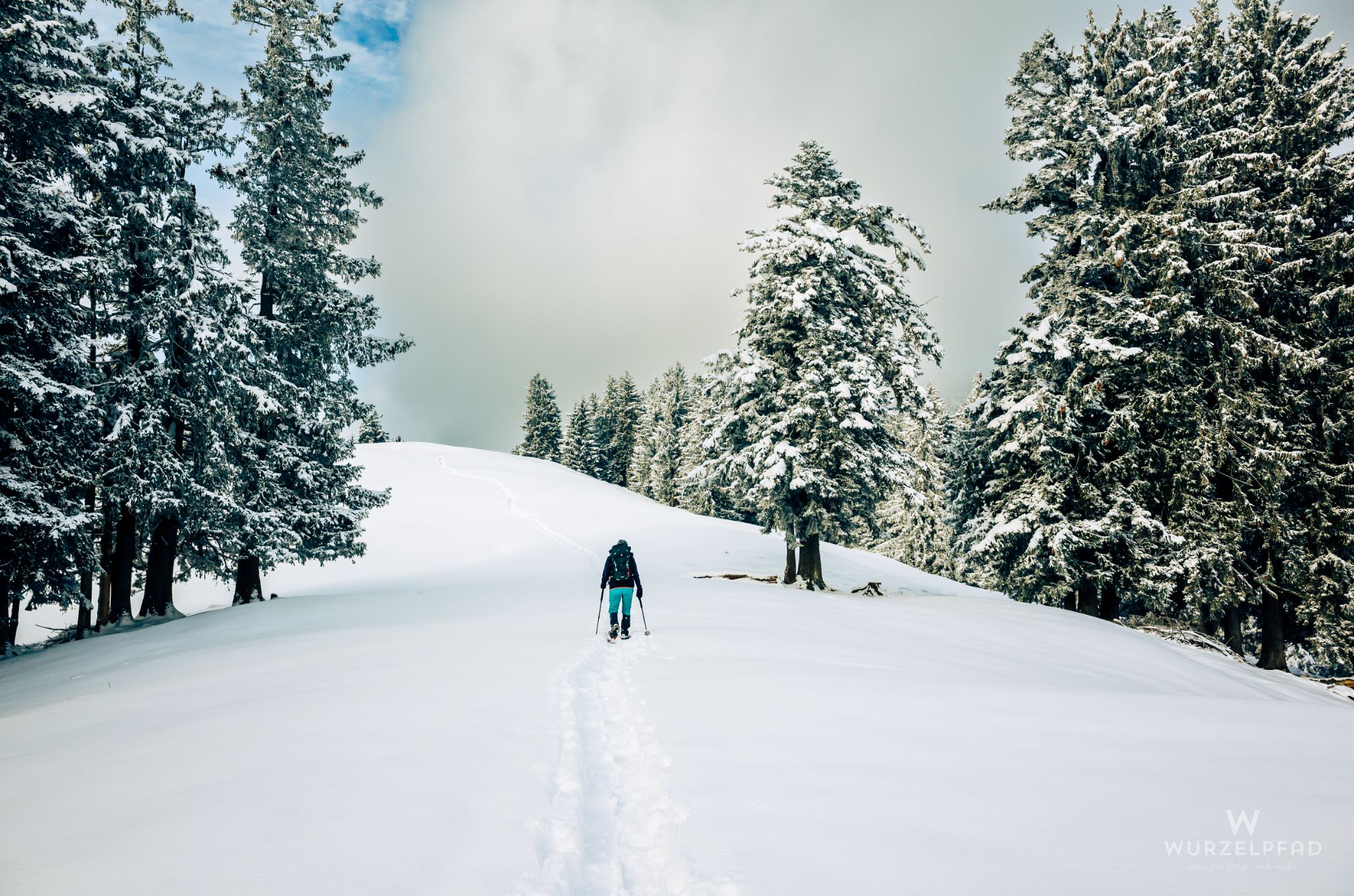 Unterwegs im verschneiten Hochwald