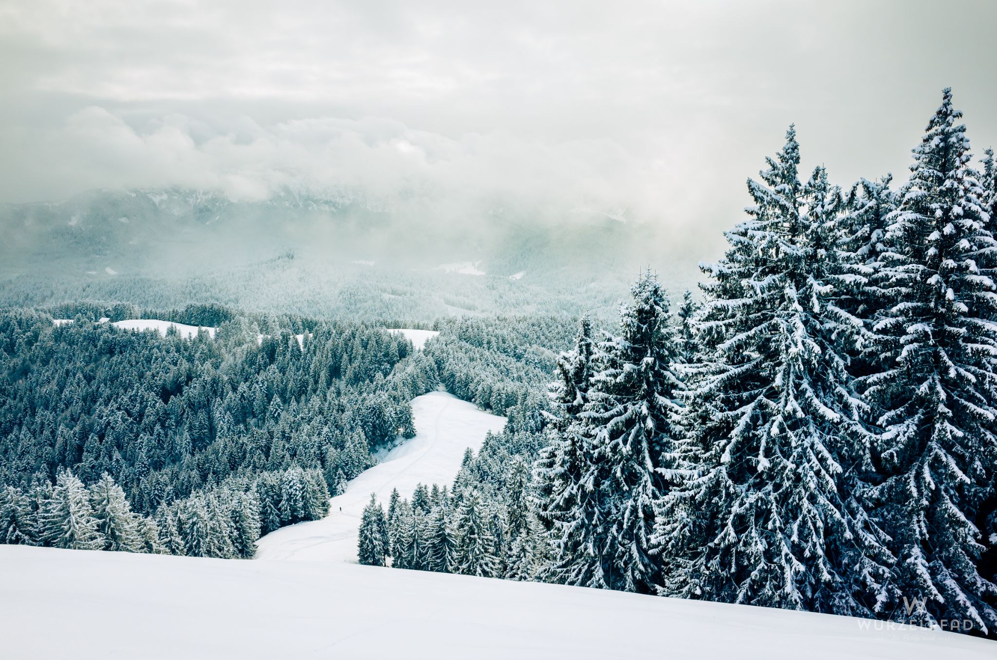 Blick vom Zwiesel zur Benediktenwandgruppe