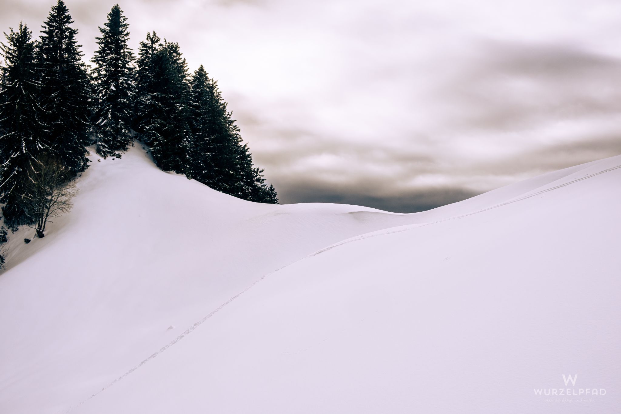 Einsame Spur im Schnee