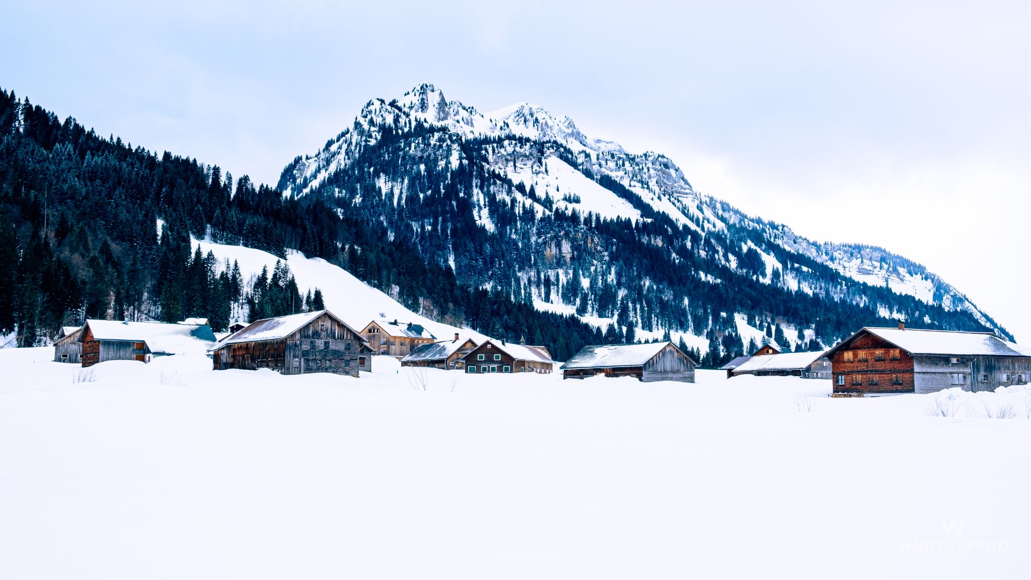 Hirschberg über Schönenbach