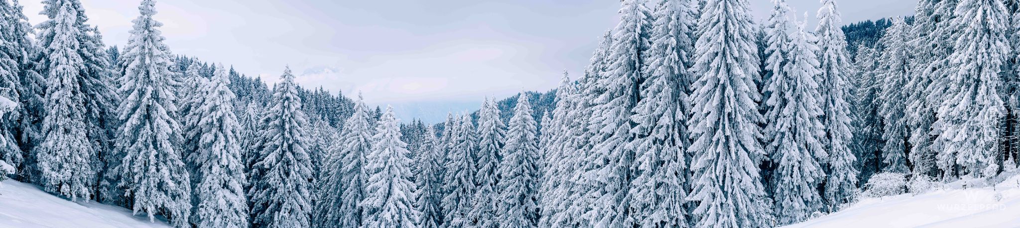 Blick über's Hirschbachtal nach Westen