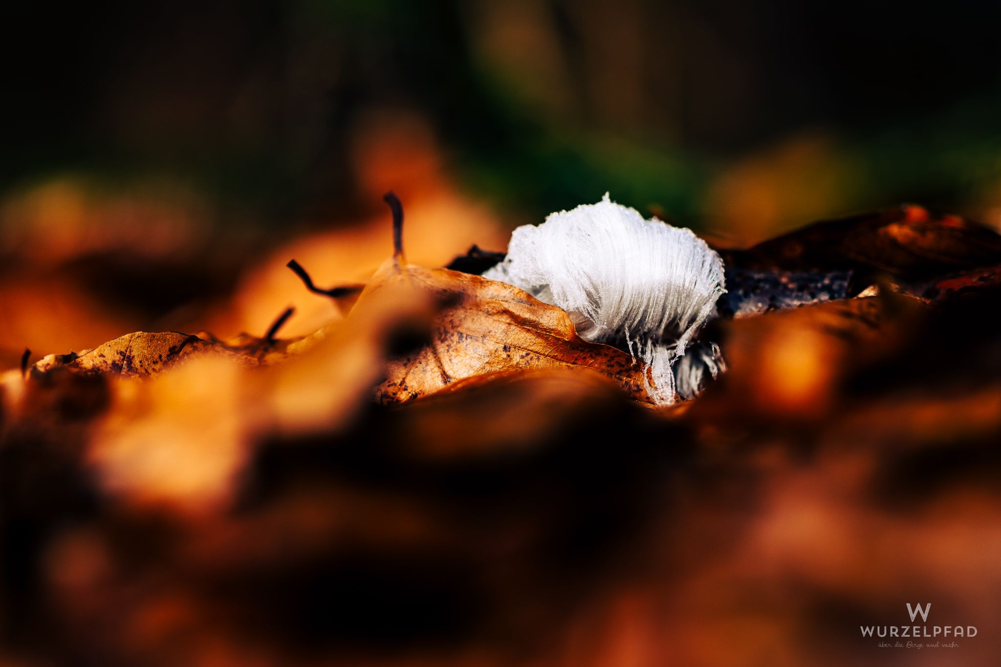 2023 02 05 Kempfenhausen 0006