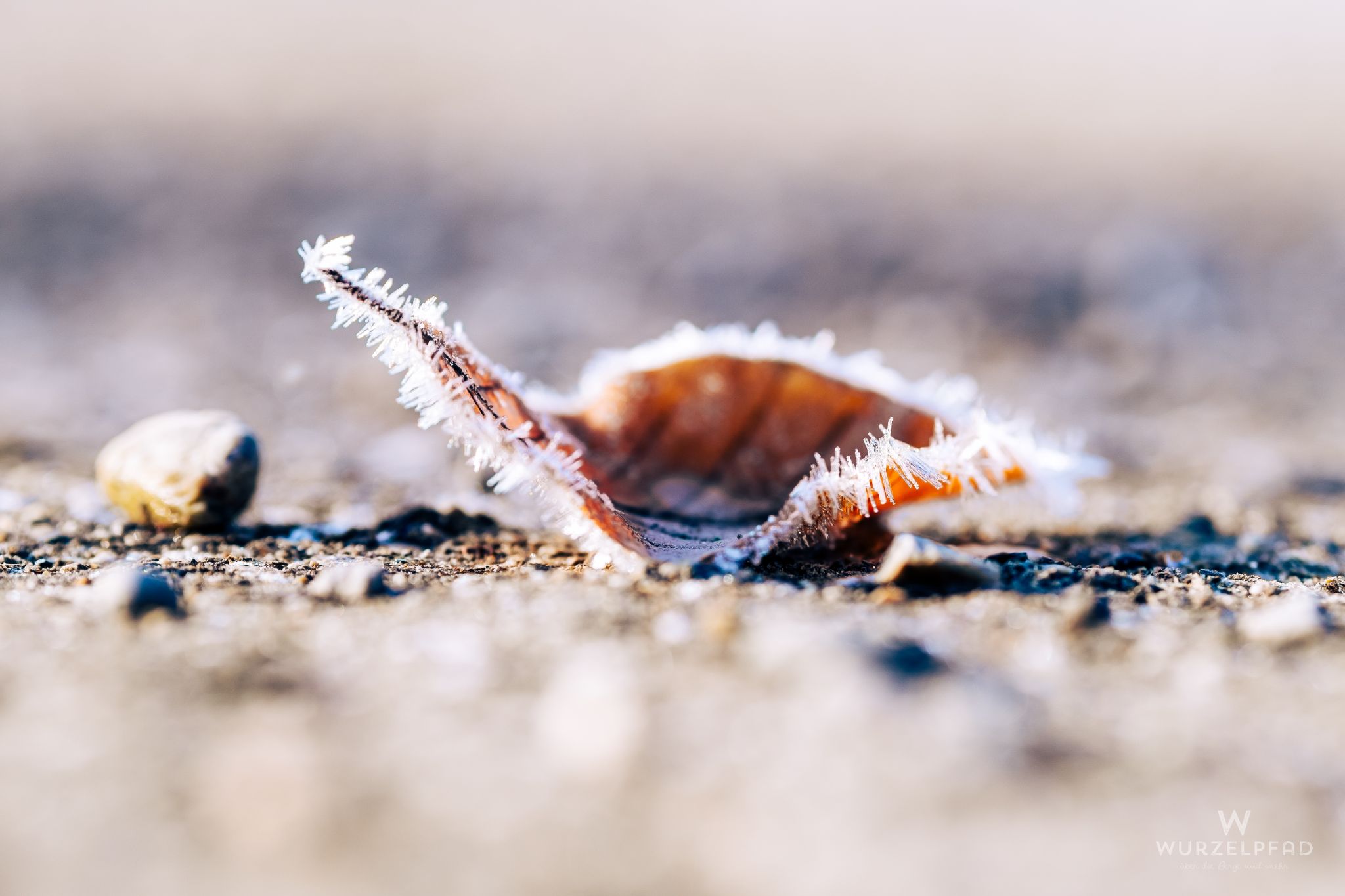 2023 02 05 Kempfenhausen 0007