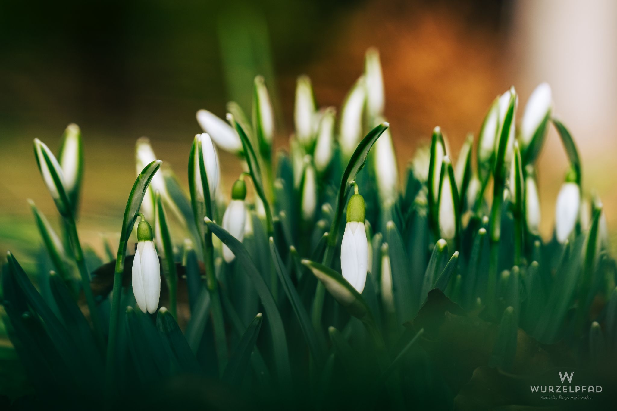 2023 02 05 Kempfenhausen 0008