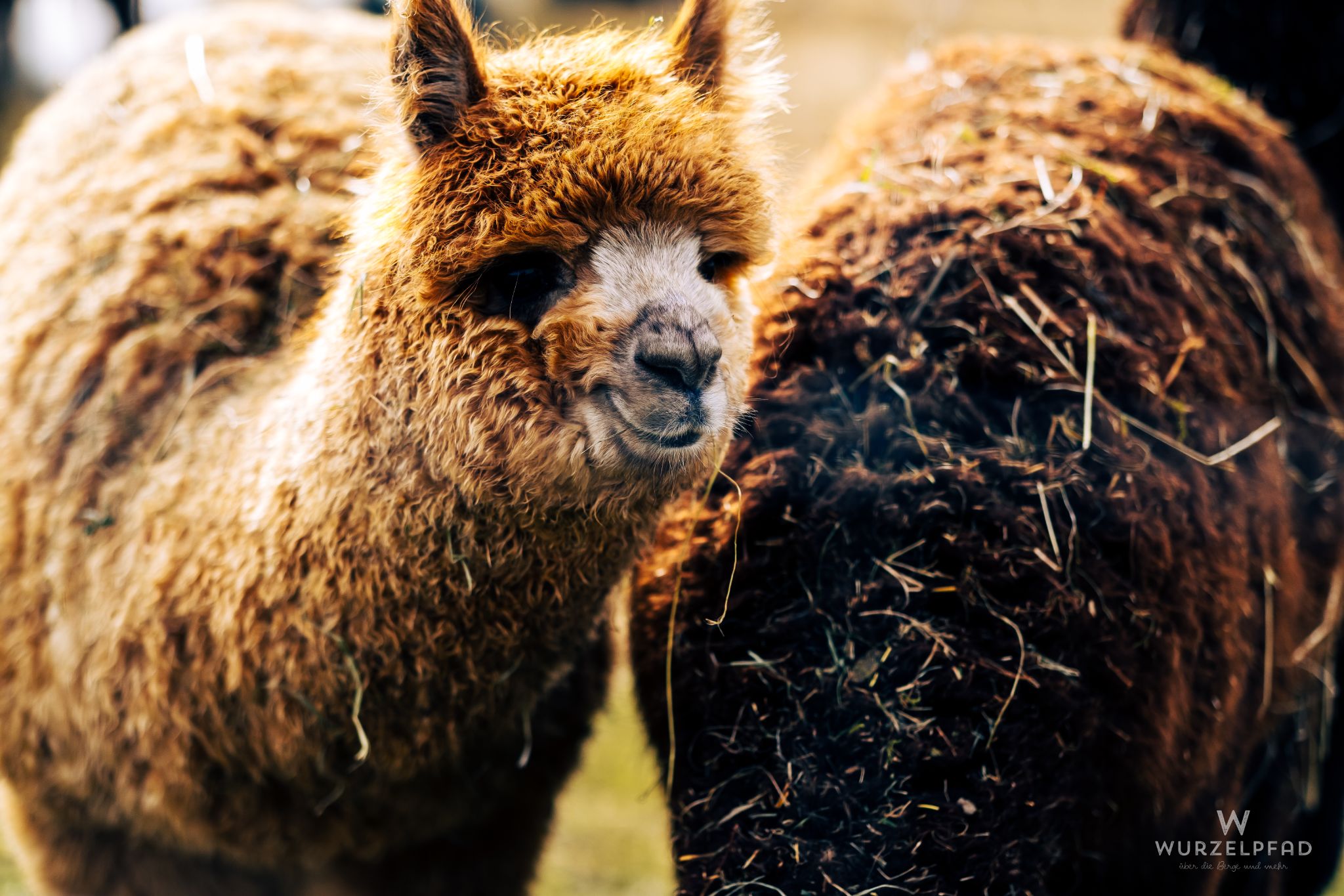 2023 02 05 Kempfenhausen 0010