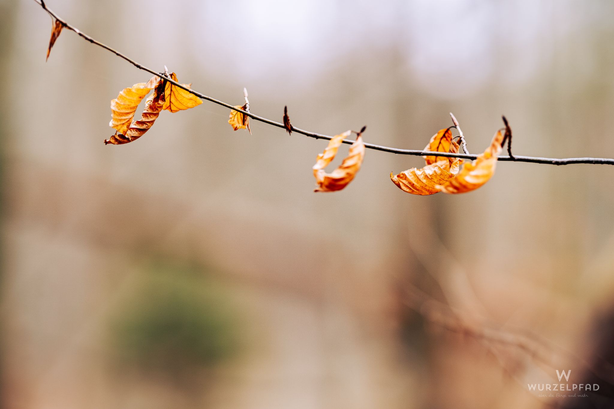 2023 02 05 Kempfenhausen 0012