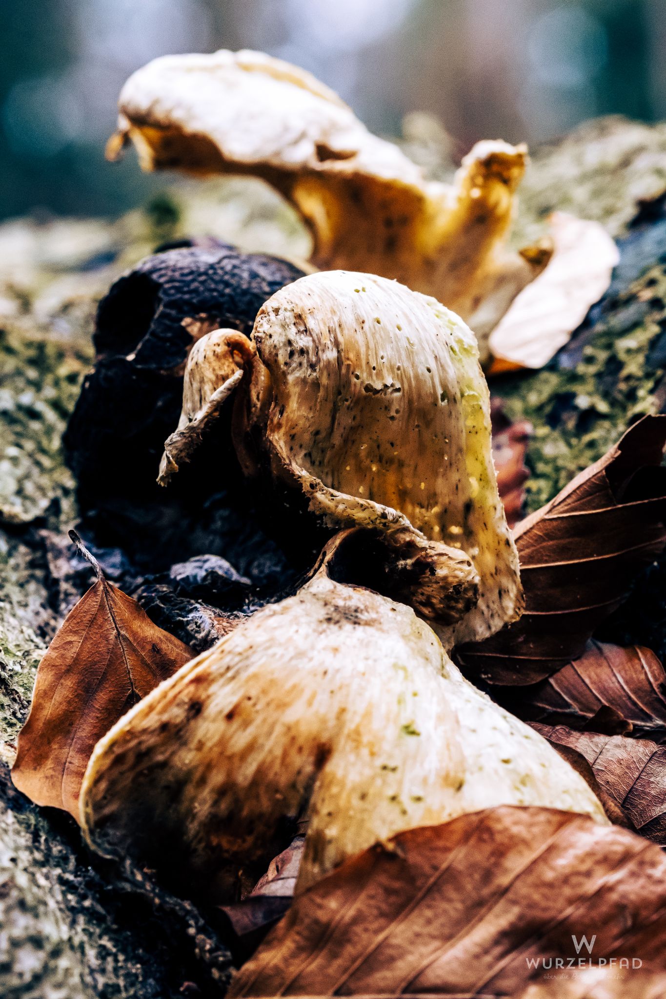 2023 02 05 Kempfenhausen 0014