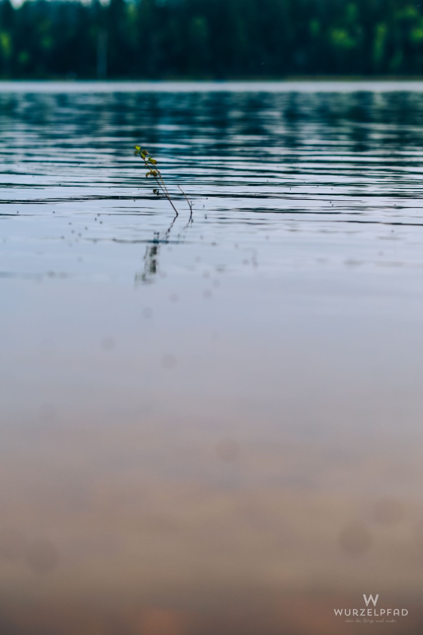 Farbverlauf im Kirchsee