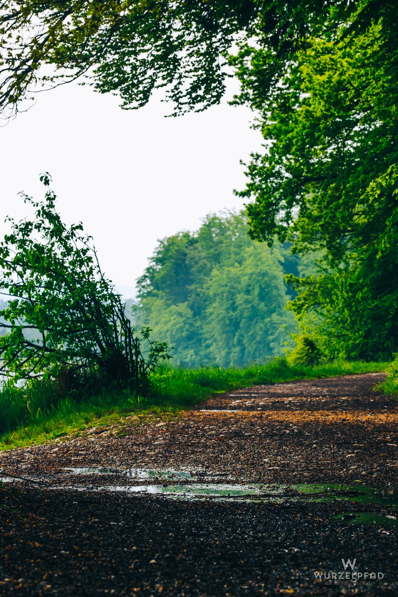 Spaziergehen nach dem Regen