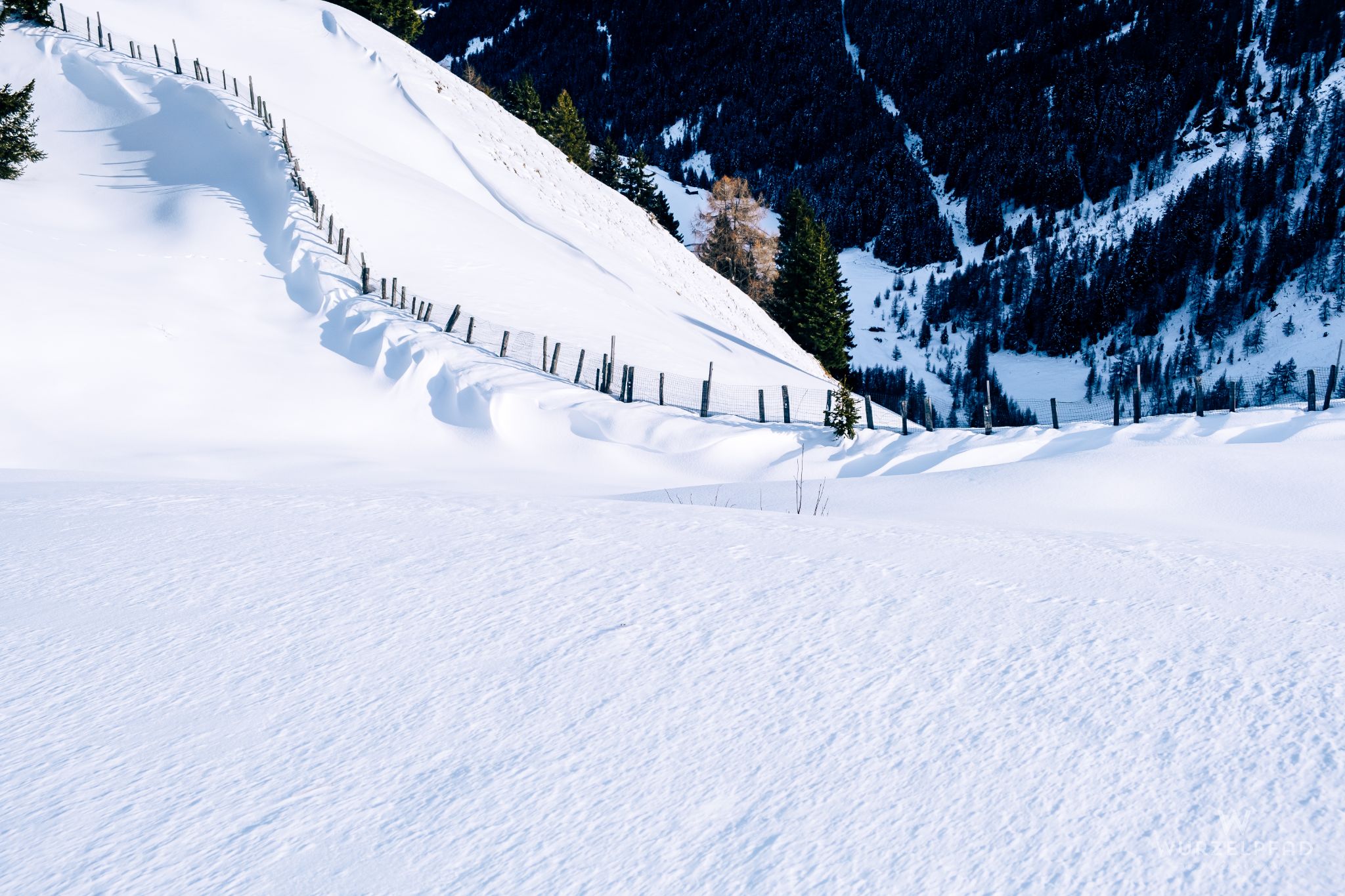 Blick hinab ins Jaufental