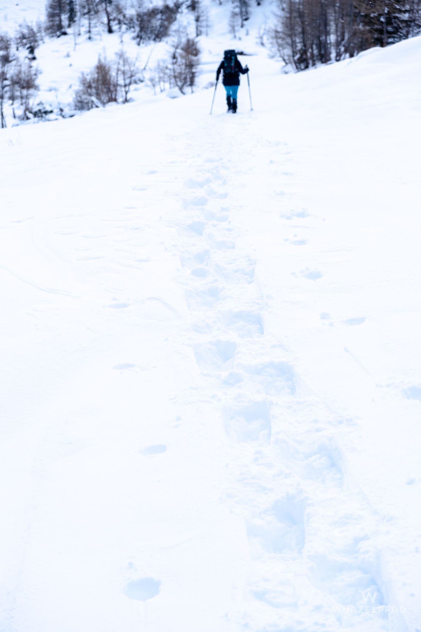 Mit Schneeschuhen ins Seiterbergtal
