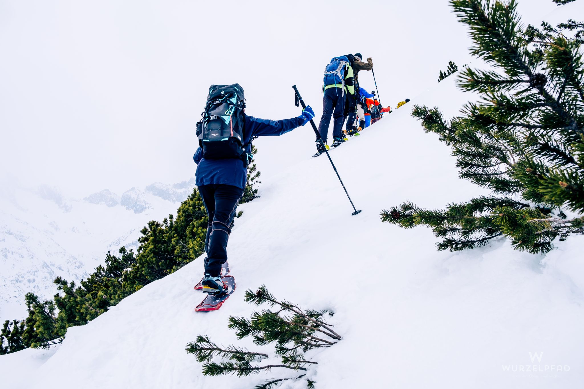 Steiles Latschengelände