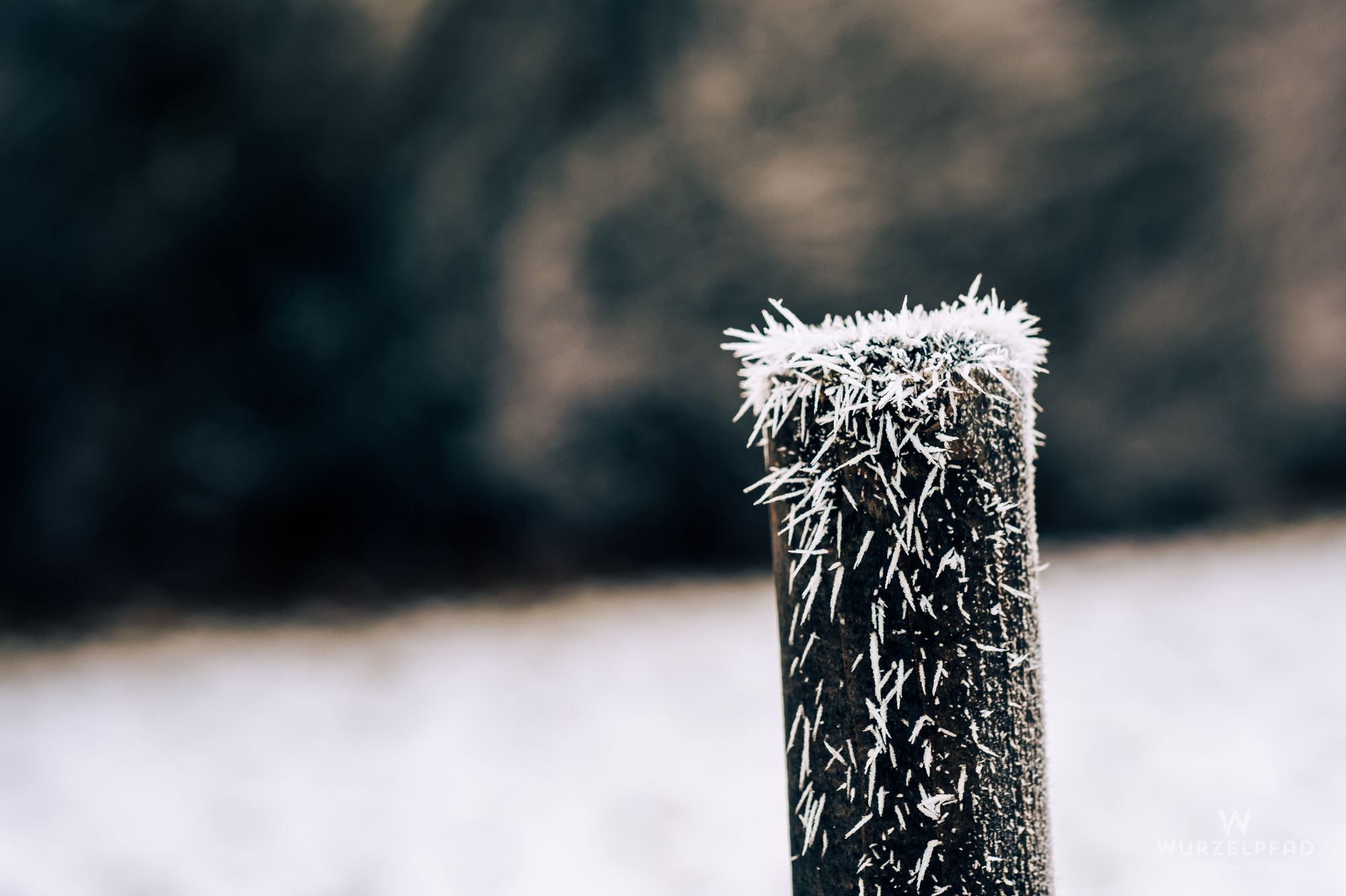 2024 12 27 Deisenhofen 1001