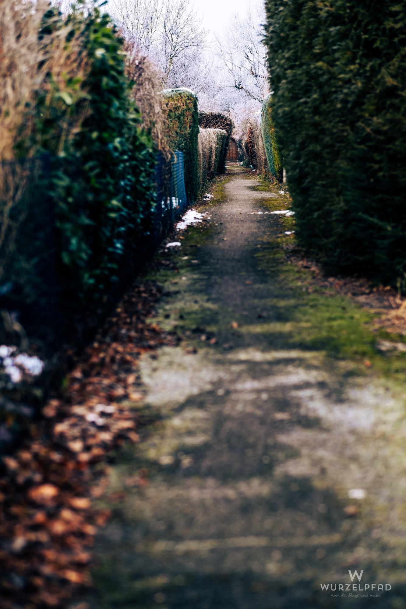 2024 12 27 Deisenhofen 1003