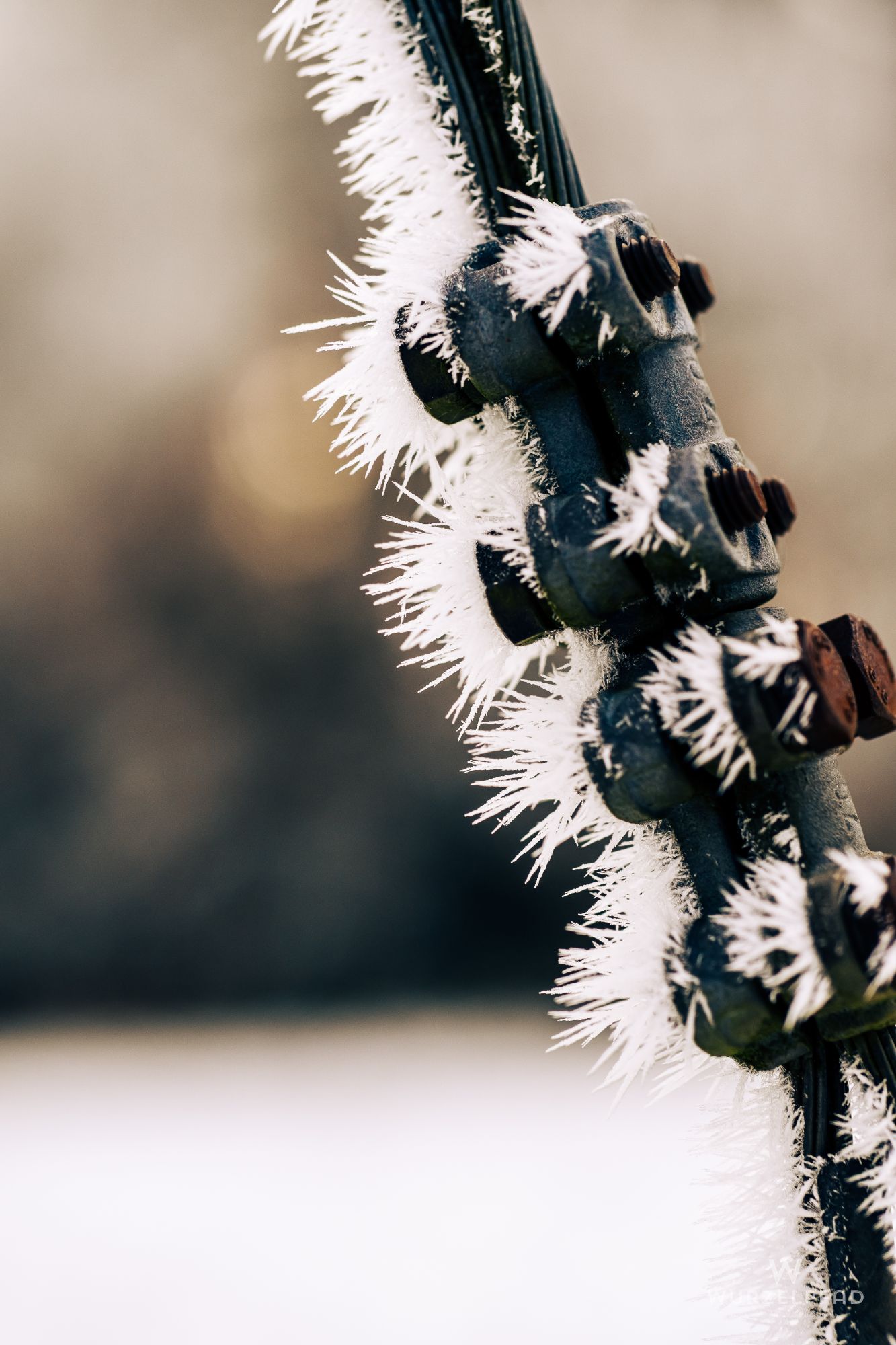 Mittagsspaziergang in Deisenhofen