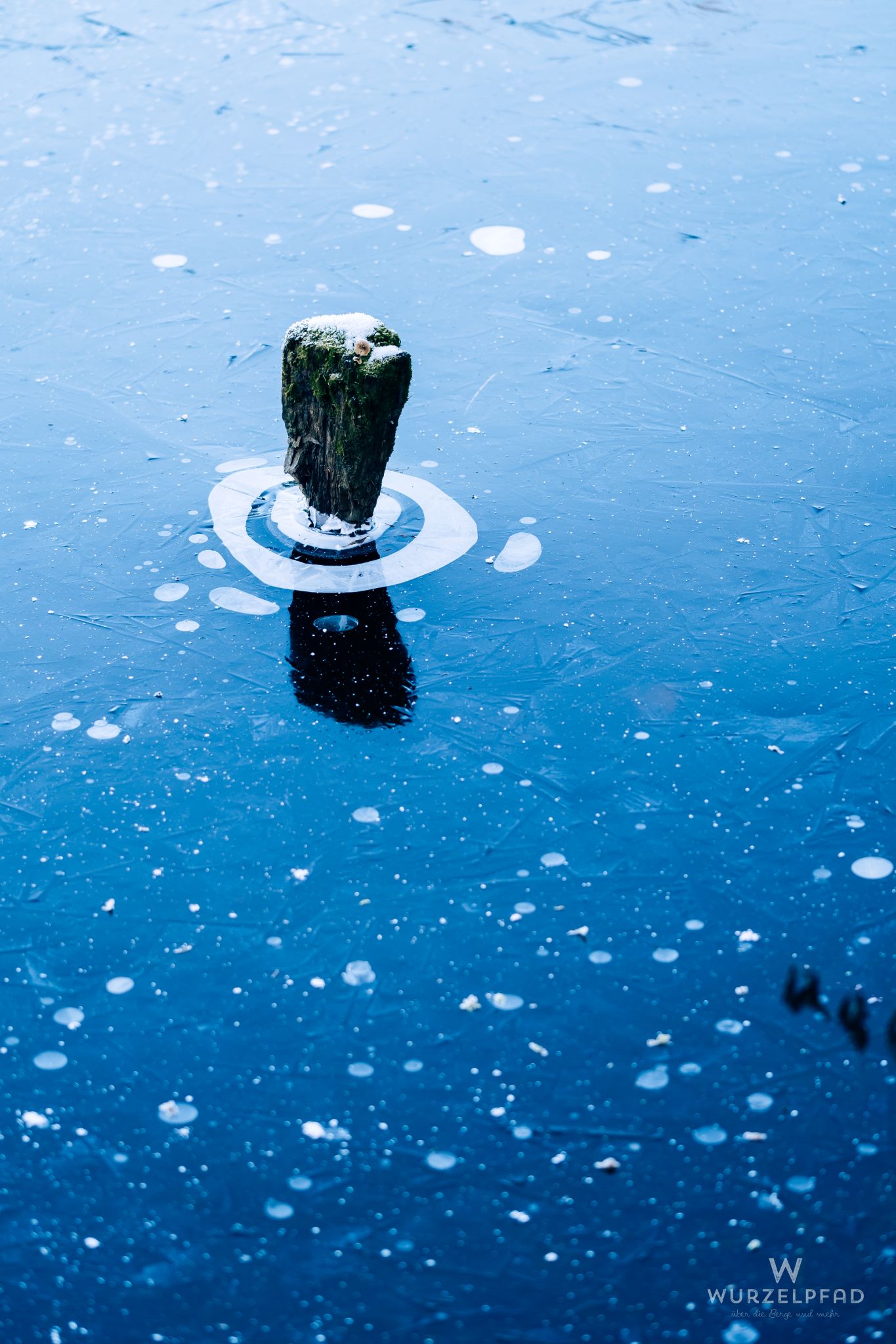 Frozen pond, stump, concentric circles.