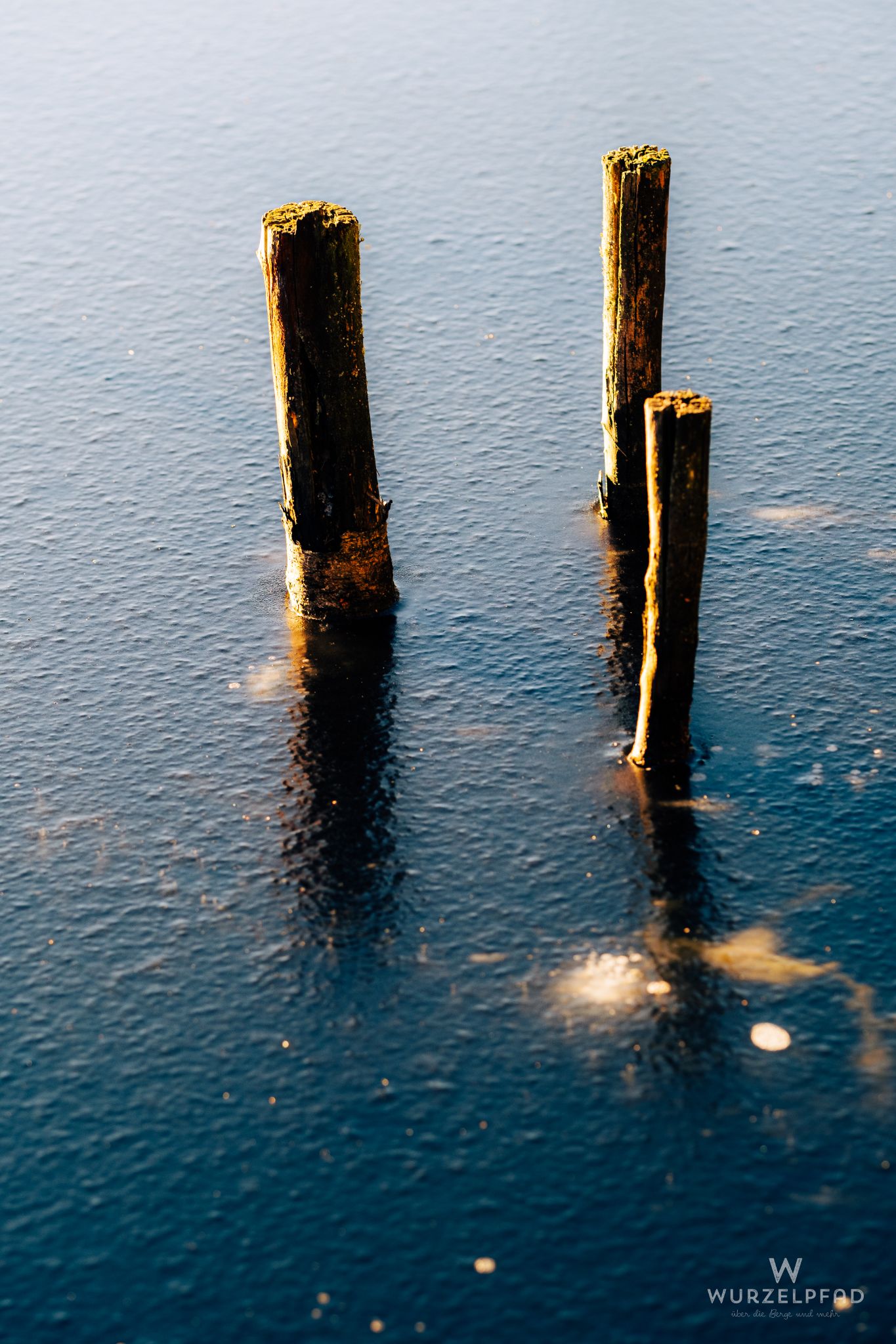 Decaying wooden posts in icy water.
