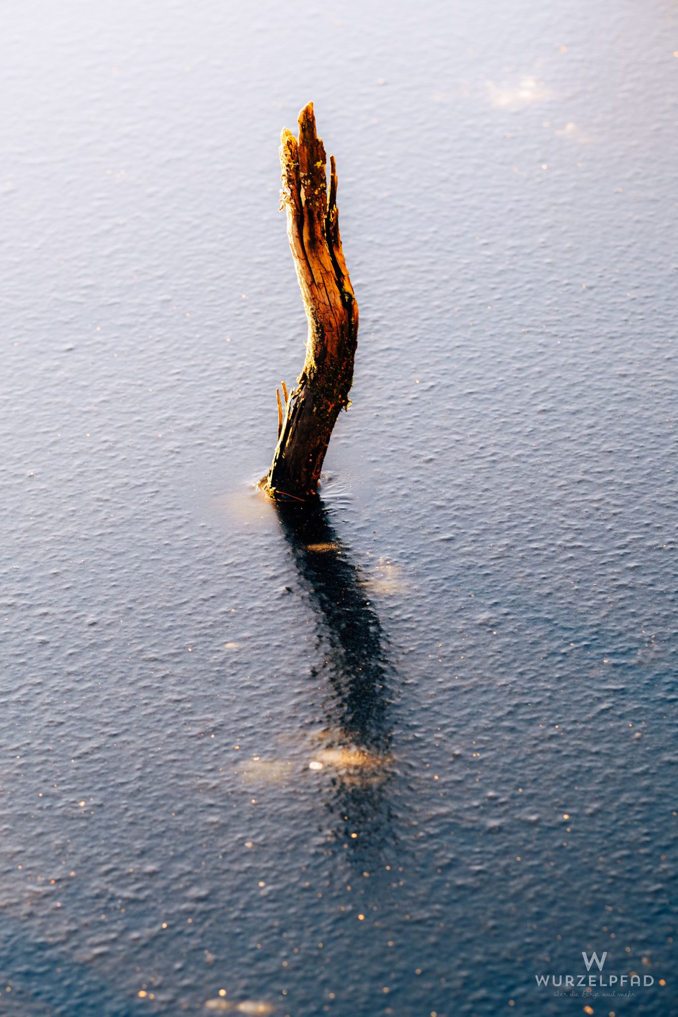 Frozen water, branch reflection.