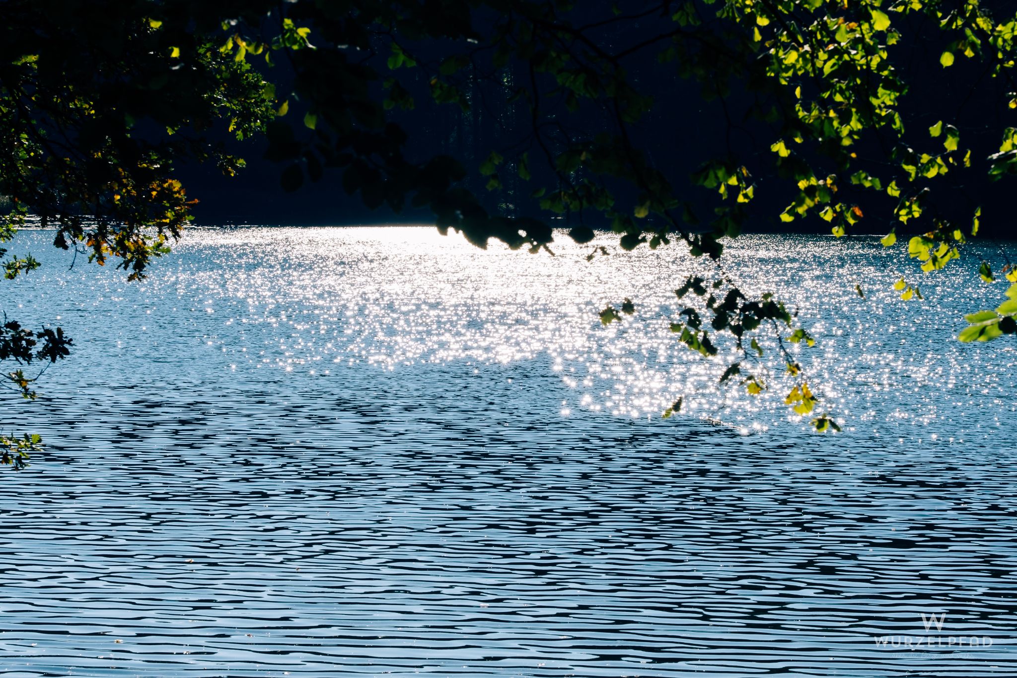 Thanninger Weiher