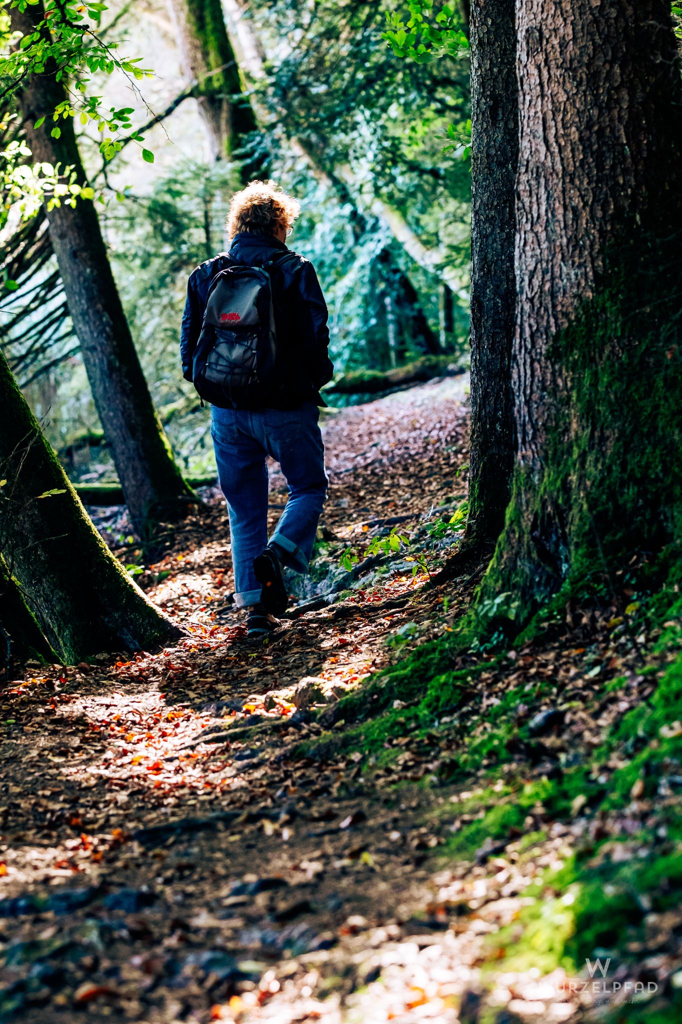 Wandersfrau im morgendlichen Wald
