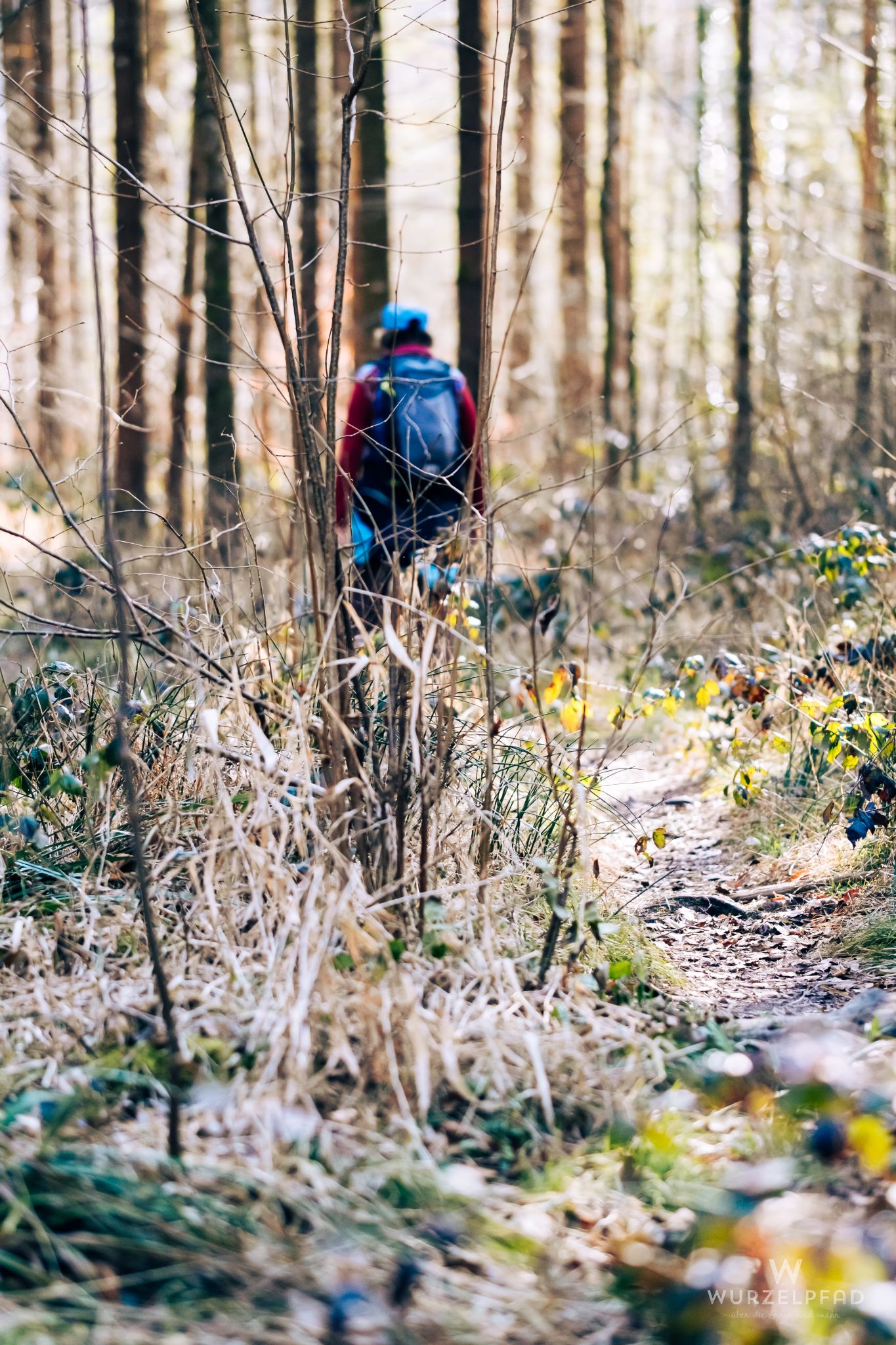 Unterwegs im Wald an der Mangfall